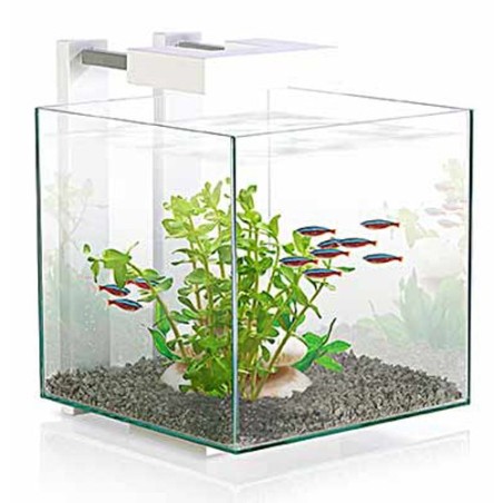 Ciano Nexus Pure Cube bianco - miniacquario 14L cm25x25x31,5h con illuminazione a LED