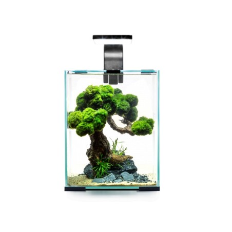 Aquael Shrimp Set Smart Day&Night 30 litri cm29x29x35h