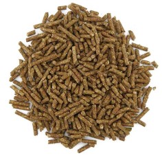 Aquarium Munster Dr.Bassleer Shrimp Sticks Garlic... 2