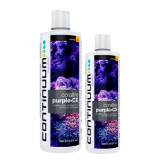 Continuum Aquatics Coralline Purple CX - acceleratore di...