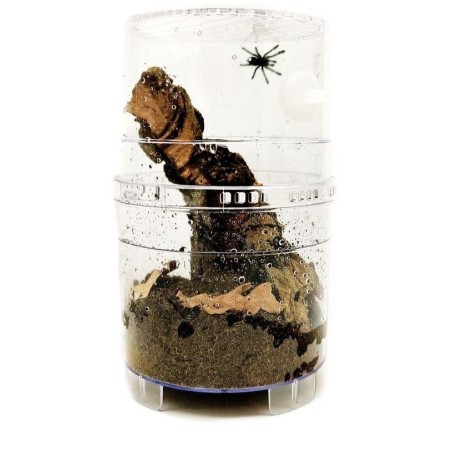 Lucky Reptile Critter Box cm6x11h