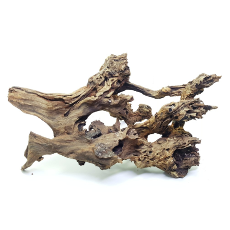DecorLine Driftwood Foto Indicativa - Legno Manila naturale (Jati) per acquari d'acqua dolce