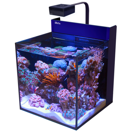 Red Sea Max Nano G2 Cube cm45x45x45h - acquario marino completo di sump posteriore, supporto e illuminazione LED
