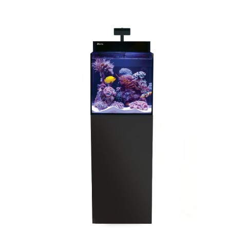 Red Sea Max Nano G2 XL cm50x60x50h - acquario marino completo di sump posteriore, supporto e illuminazione LED