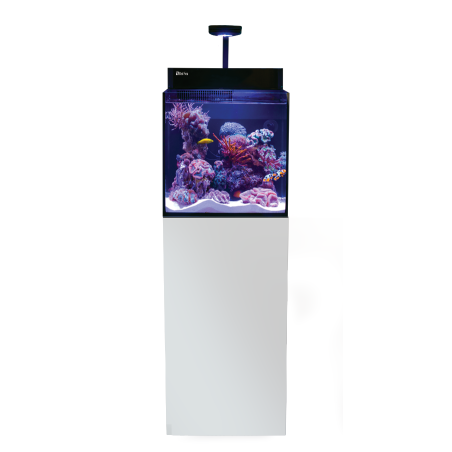 Red Sea Max Nano G2 XL cm50x60x50h - acquario marino completo di sump posteriore, supporto e illuminazione LED