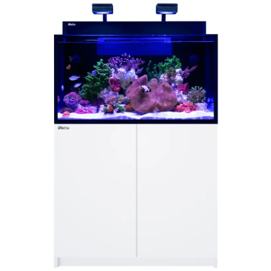 Red Sea Max Nano G2 XXL cm90x55x50h - acquario...