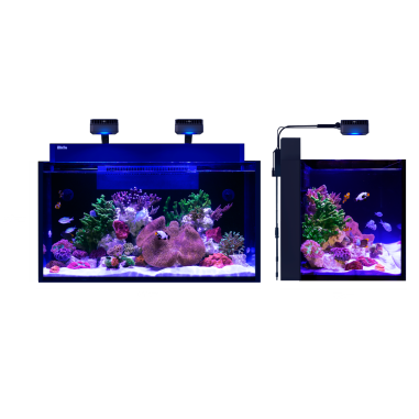 Red Sea Max Nano G2 XXL cm90x55x50h - acquario...