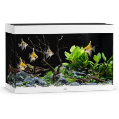 Juwel Rio 290 LED cm101x51x66h Senza Supporto - Bianco 2