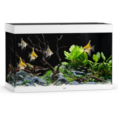 Juwel Rio 290 LED cm101x51x66h Senza Supporto