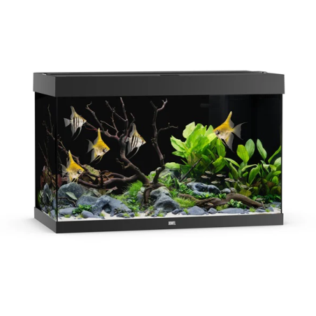 Juwel Rio 290 LED cm101x51x66h Senza Supporto