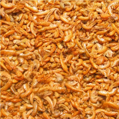 JBL Gammarus 1000ml/110gr - Mangime per Tartarughe Acquatiche JBL Gammarus 1000ml/110gr - Mangime per Tartarughe Acquatiche