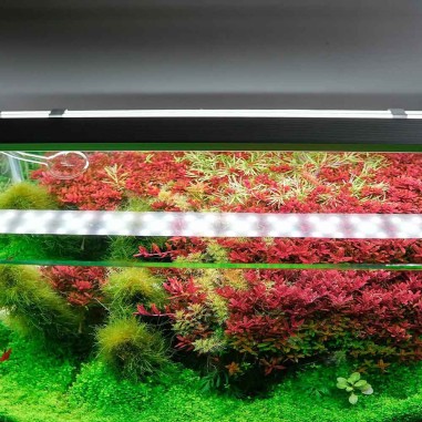 Chihiros B90 - plafoniera LED con controller Bluetooth per acquari d' acqua dolce