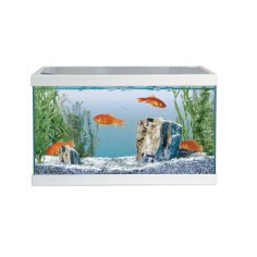 MTB Start Up Bianco - Acquario 17L cm40,5x20,5x24,6h