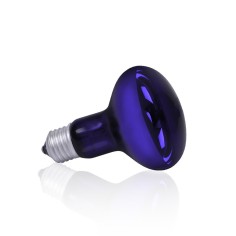 AQL Night Heat Blue Lamp 100w Attacco E27 - Lampada riscaldante notturna per terrari