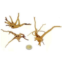 DecorLine Nano Spider Wood 5-10cm 1pz - Mini Legno Decorativo Ideale per Nano Acquari e Aquascaping