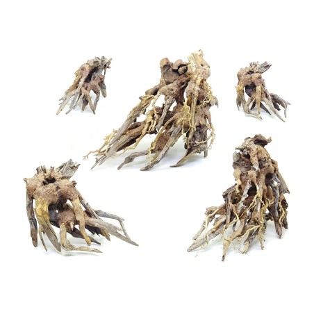 DecorLine Octopus Wood Foto Indicativa - Legno naturale decorativi per acqua dolce