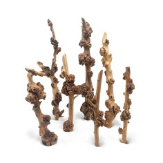 DecorLine Savana Wood Foto Indicativa - Legni decorativi naturali per acquari d' acqua dolce