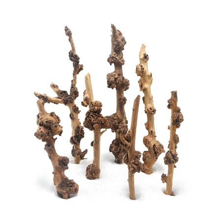 DecorLine Savana Wood Foto Indicativa - Legni decorativi naturali per acquari d' acqua dolce