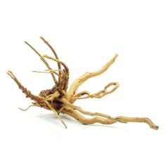 DecorLine Spider Wood Foto Indicativa - Legni decorativi naturali per acqua dolce