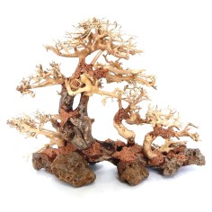 DecorLine Triple Bonsai Wood misura Medium cm30x23x15h