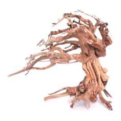 DecorLine Wind Wood misura Medium cm30x13x23h - legno naturale decorativo