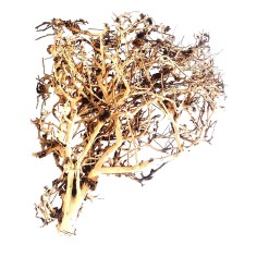Whimar Tiny Ramous Wood Foto Indicativa - Legni naturali ad elevata ramificazione per Aquascaping