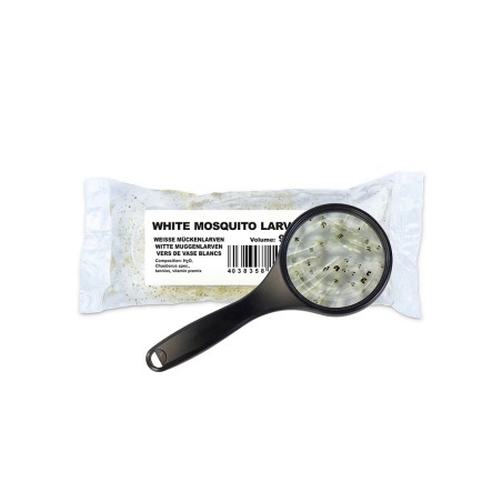 Cibo Vivo White Mosquito Larvae confezione da 90ml - chironomus bianchi vivi