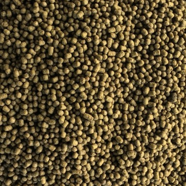 Korallen-Zucht Marine Fish Pellets 350gr - mangime in granuli da 2mm per pesci marini
