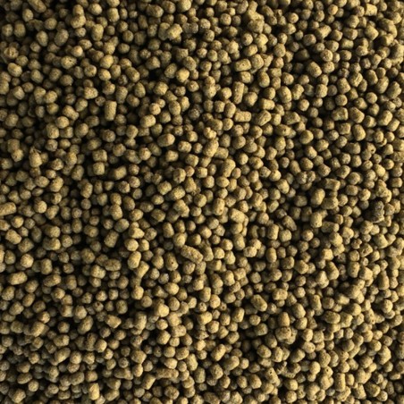 Korallen-Zucht Marine Fish Pellets 350gr - mangime in granuli da 2mm per pesci marini Korallen-Zucht Marine Fish Pellets 350gr - mangime in granuli da 2mm per pesci marini