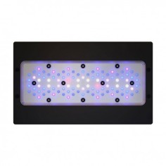 Ecotech Marine Radion XR30w G6 Blue 2