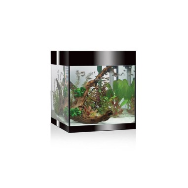 Askoll Pure kit M LED - kit acquario cm 36x36x43,5h 44litri con illuminazione LED e sistema di filtraggio