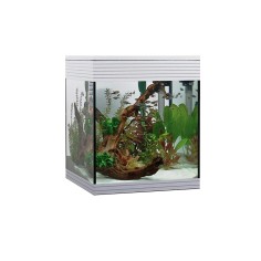Askoll Pure kit M LED - kit acquario cm 36x36x43,5h 44litri con illuminazione LED e sistema di filtraggio