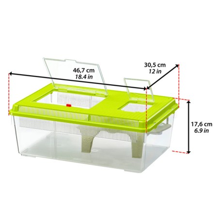 Ferplast Geo Flat Large Vaschetta/Terrario in Plastica con Coperchio + Aperture - Capacità 8 Litri Misure cm 46,7x30,5x17,5h