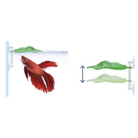 Ista Betta Leaf Brown- foglia sintetica decorativa