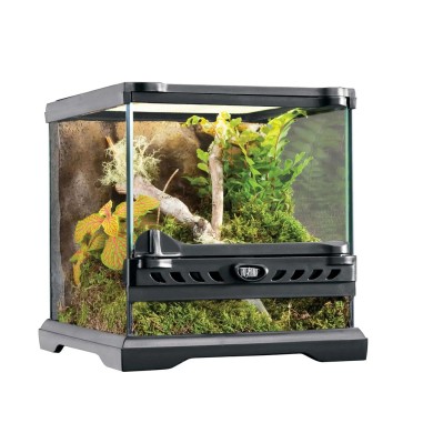Exoterra Terrario Natural Terrarium Nano Wide...