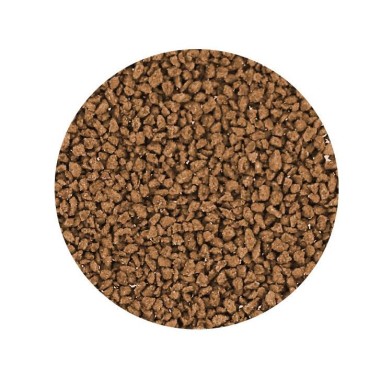 Elos SV1 Color 65gr - Alimento in Granuli...