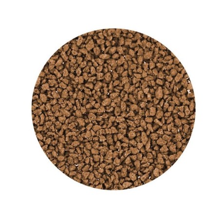Elos SV1 Color 65gr - Alimento in Granuli Specifico per Pesci di Piccola Taglia