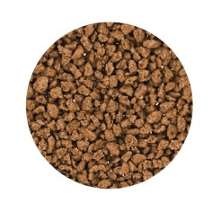 Elos SVD2 - Alimento in Granuli Specifico per Discus e... 2