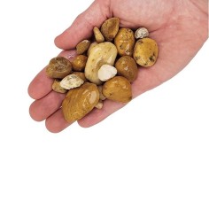 Wio Bumblebee Gravel Mix 2kg - Ghiaia Ocra Naturale -... 2