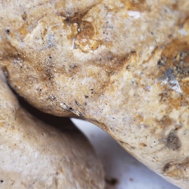 Wio White Adder Boulder Stone KIT 11kg - Pietra...
