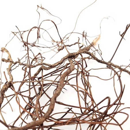 Wio Mini Root 80g 10-30cm - radici naturali