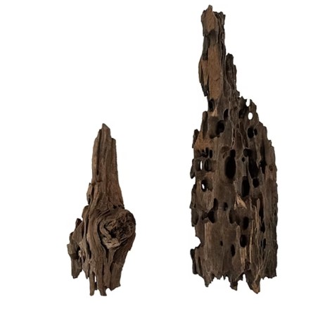 Wio Dragonscale Wood XS - legno naturale - fino a 10cm