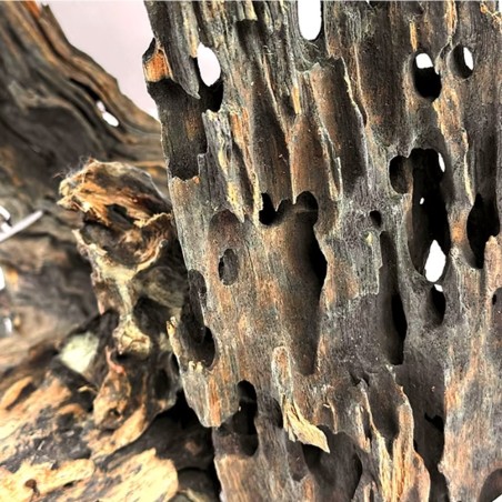 Wio Dragonscale Wood XS - legno naturale - fino a 10cm