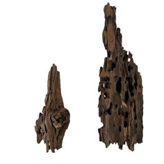 Wio Dragonscale Wood S - legno naturale 10-20cm 2