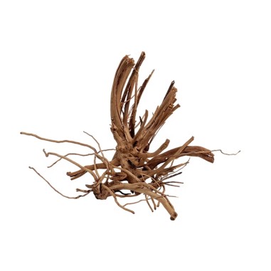 Wio Blondspider Wood S 10-20cm - legno naturale