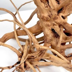 Wio Blondspider Wood S 10-20cm - legno naturale 2