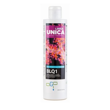 AGP Linea Unica BLQ1 250ml - Attivatore Batterico per Acquari Marini