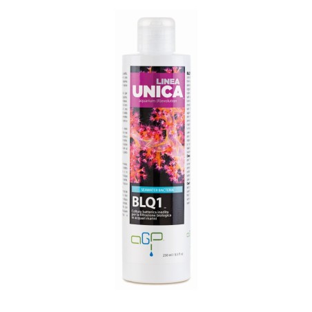 AGP Linea Unica BLQ1 250ml - Attivatore Batterico per Acquari Marini