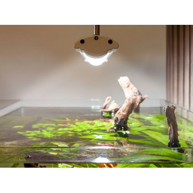 Aquatlantis Easy Led Universal RGBW Ultra 1600...