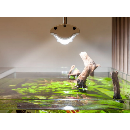 Aquatlantis Easy Led Universal RGBW Ultra 1600 70w 1450mm - Plafoniera LED a spettro completo con App iOS e Android